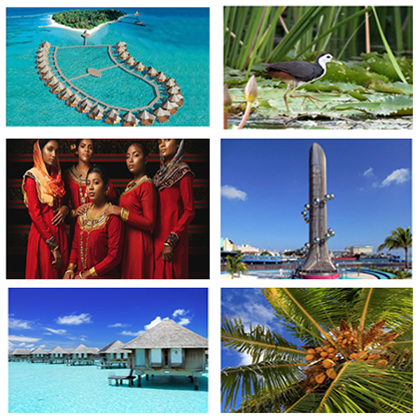 India - Maldives Business and Cultural Council - About Maldives