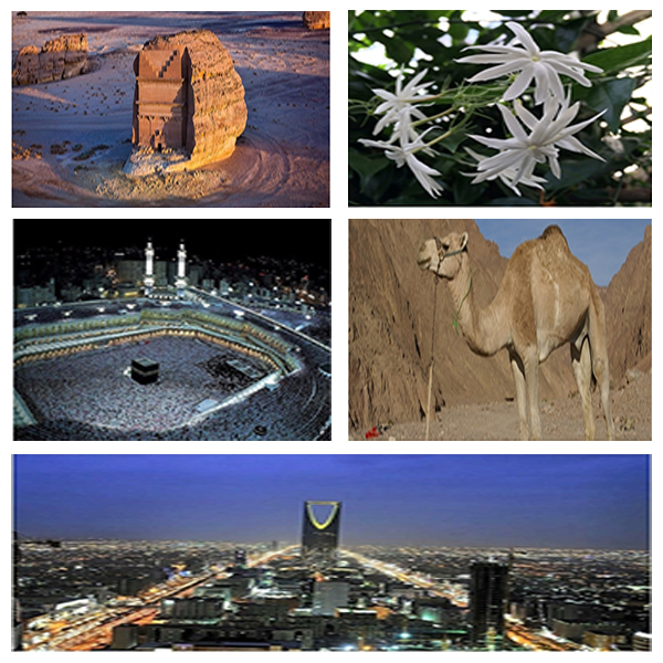 India - Saudi Arabia Business and Cultural Council - About Saudi Arabia