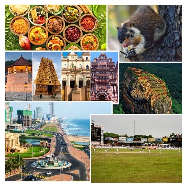 India - Sri Lanka Business and Cultural Council - About Sri Lanka
