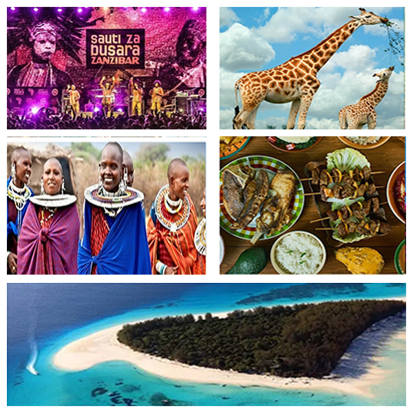 India - Tanzania Business and Cultural Council - About Tanzania