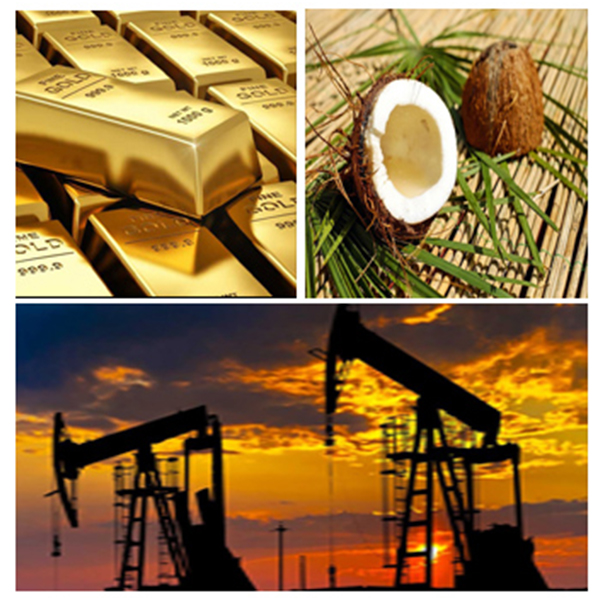 India - Ghana Business and Cultural Council - Business Opportunities in Ghana