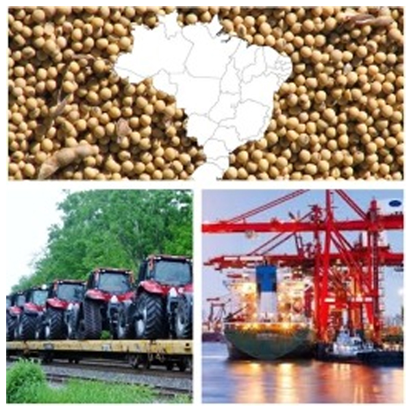 India - Brazil Business and Cultural Council - Top Exports of Brazil