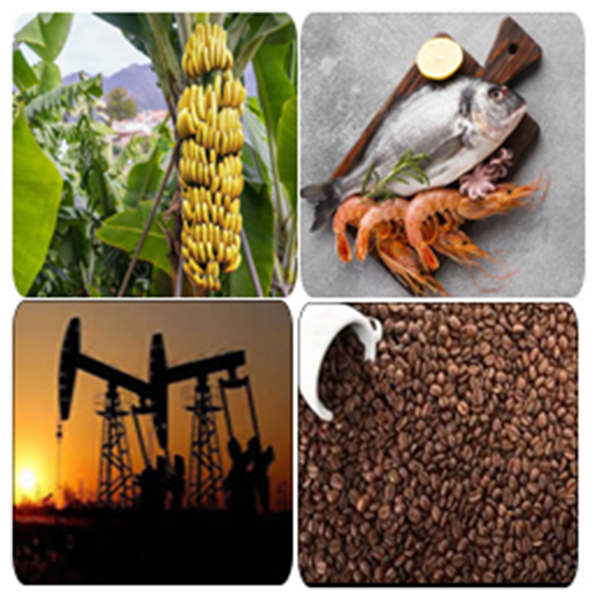 India - Ecuador Business and Cultural Council - Top Exports of Ecuador