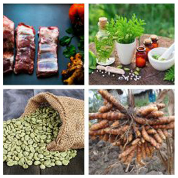 India - Papua New Guinea Business and Cultural Council - Top Exports of Papua New Guinea