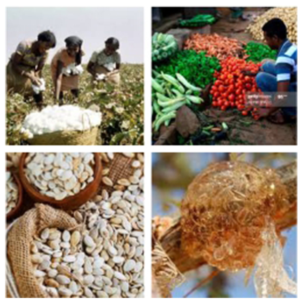 India - Algeria Business and Cultural Council - Top Exports of Algeria