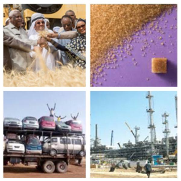 India - Algeria Business and Cultural Council - Top Imports of Algeria