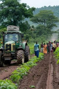 Sectors of Vietnam - Agriculture
